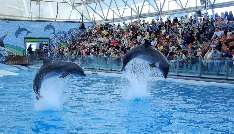 dolphinarium in kish island - travel guide to Iran