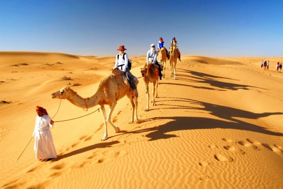 Camel riding in the desert camel farms of Dubai