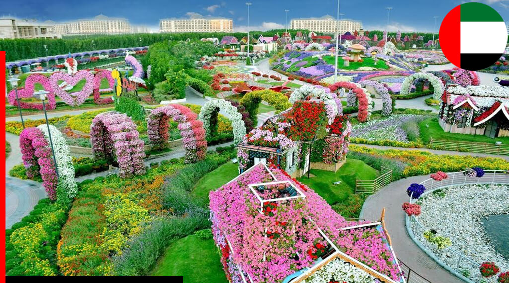 Dubai Flower Garden or Miracle Garden